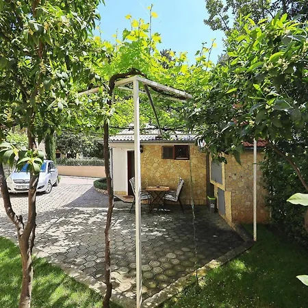 Ferienhaus House 